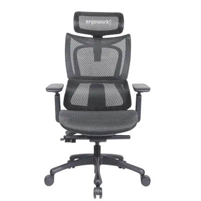 ERGOWORKS EW-G881 Truly Perfect Ergonomic Chair - 3D Armrest & Chrome Base