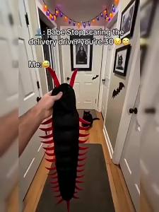Trang phục thú cưng rết đa chân hài hước Chó mèo cosplay kostum haiwan mới lạ trang phục halloween lên