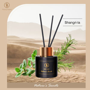 [Clearance Buy 3 or more get free gift] Homy Reed Diffuser Essential Lavender Oil Aromatherapy for Room Car Toilet Bedroom Hotel Perfume Large Capacity Gift 50ml