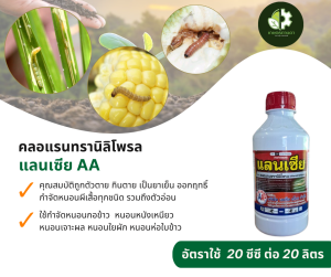 แลนเซีย AA (คลอแรนทรานิลิโพรล) คุณสมบัติถูกตัวตาย กินตาย เป็นยาเย็น ใช้ป้องกันหนอนกอข้าว หนอนหนังเหนียว หนอนเจาะผล หนอนผีเสื้อทุกชนิด รวมถึงตัวอ่อน