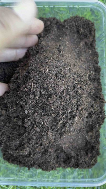 พีทมอส  (Peat Moss ) วัสดุปลูก สำหรับเพาะเมล็ด เพาะกล้า เกรดพรีเมี่ยม นำเข้าจากเยอรมัน (พีทมอส คลาสแมน แบบตักแบ่ง)