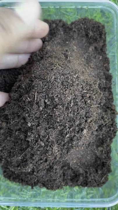 10 อันดับวัสดุเพาะปลูกยอดนิยม 2025: ดินปลูกแบบไหนดีที่สุดสำหรับสวนของคุณ?