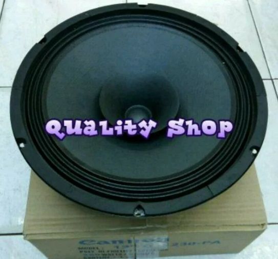 Speaker Fullrange Canon Pa Inch Mantap Buat Vocal Dan Bass