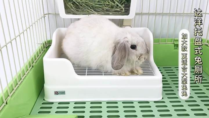 LZD Rabbit Toilet Dayang Large Toilet Rabbit Toilet Anti-Flip Anti ...