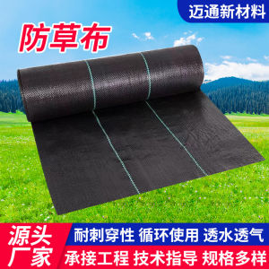 Weeding Cloth Anti-Grass Cloth Greenhouse Orchard Anti-Grass Cloth Breathable Moisturizing Agricultural Punching Slice Weeding Cloth Cloth Sample