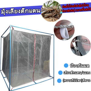 มุ้งเลี้ยงตั๊กแตน กระชังตั๊กแตน มุ้งตั๊กแตน มุ้งเลี้ยงตแตน เลี้ยงตั๊กแตน ตาของข่ายไม่แตก ตั๊กแตนกัดไม่เสีย หัวซิป 2 ทาง