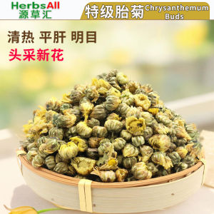 chrysanthemum buds 胎菊 胎菊王 胎菊花茶 贡菊花 胎菊洋甘菊茶包 贡菊花 Teh bunga kekwa kecil 杭州胎菊150g
