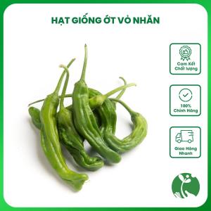 Hạt giống Ớt nhăn Hàn Quốc (Ớt vỏ nhăn) - Gói khoảng 200 hạt - Nội địa Trung