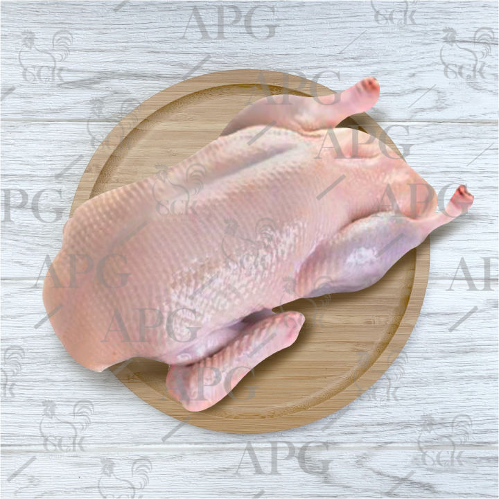 Farm Duck【肉鸭/水鸭/北京鸭】1.8-2kg Muscovy Duck【番鸭】1.8-2.8kg | Lazada