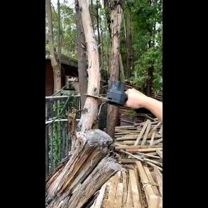 Gergaji Mesin Listrik Baterai Rechargeable 24V 800W Electric Chainsaw