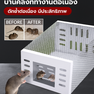 เครื่องกำจัดหนูแบบลูกกรงสำหรับบ้านคลัง กำจัดหนูอย่างต่อเนื่อง