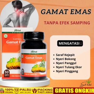 Kapsul Gamat Emas - Obat Saraf Kejepit Nyeri Bokong Nyeri Panggul Nyeri Tulang Ekor Nyeri Pinggang BPOM