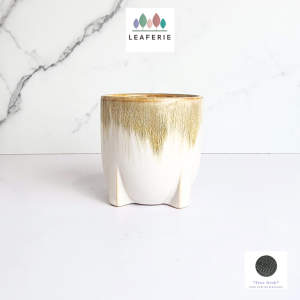 The Leaferie Noel plant pots Ceramic flowerpot flowerpots flower pot planter planters