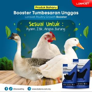 VITAMIN PENGEMUK UNGGAS LORAVET ( PENGGEMUK AYAM ITIK BURUNG )