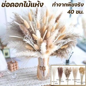 Taiva COD ช่อดอกไม้แห้ง40cm สไตล์นอร์ดิก แต่งบ้าน ของขวัญ ไม่ร่วงโรย ช่อดอกไม้รวมDIYหญ้าเปมเปาส หญ้าโลวีต์เล็ก