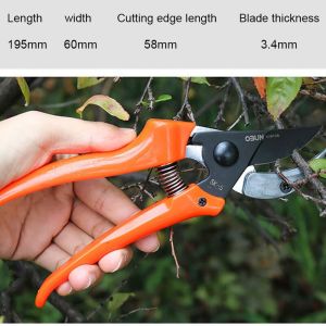 SK5 Pruner Pruning Shears Scissors Horticulture Fruit Tree Shears Rose Cippers Bonsai Gardening Secateurs Grafting Tool