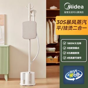 Dry Iron Steamer Hanging Hanging Steamer Iron Double-Pole Steam High Power Big Water Tank Hanging Steamer Iron