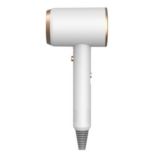 SG [READY STOCK] Good Looks Net Red Hair Dryer 4 in 1 Anion Hair Dryer Fast Dry