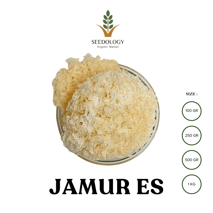 Jamur Es 250gr Snow White Fungus Bai Mu Er Jamur Salju Jamur