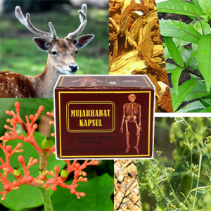 10 Box Mujarhabat Kapsul Joint Relief Formula Health Supplement with Deer Herbs and Skeleton Illustration