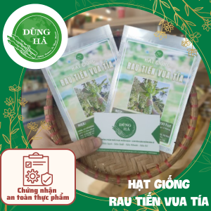 [MUA 1 TẶNG 1] Hạt Giống Rau Tiến Vua Tía - Rau Tiến Vua Thân Dài Loại 1 Tỷ Lệ Nảy Mầm Cao Gói 2000 Hạt