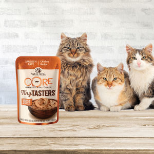 Wellness CORE Tiny Tasters Grain-Free Wet Cat Food 50g – Extra Hydration | 12 Flaked / Minced / Pâté