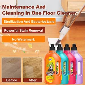 All-Year Floor Cleaner for Family Users  Baby Crawling  All Ages  Powerful Stain Removal  Antibacterial Care in One