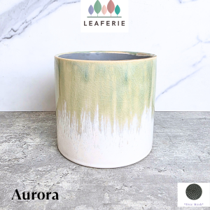 The Leaferie Aurora plant pots. flowerpot . flowerpots . flower pot . planter . planters . Ceramic