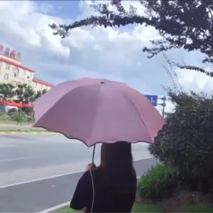 Magic Rain Umbrella for Sun UV Protection and Rainy Season  MANUAL UMBRELLA