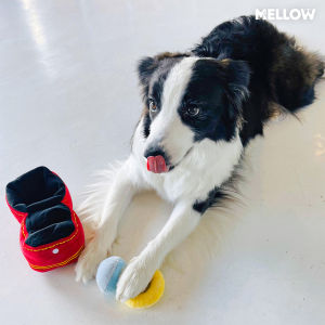 RING TOY(ของเล่นสุนัขและแมว)