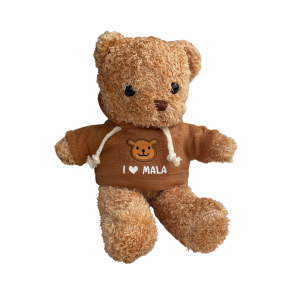 Personalized Teddy Bear with Name or Message Gift Stuffed Toy Kids Children Christmas Kids Party Giveaways Giveaway Corporate Gifts