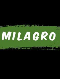 1 kg Milagro Baja Organik Dan Booster Tanaman Milagro Dengan Hadiah Alat Tanaman Milagrow Baja Milagrow Organic Fertilizer with Free Gift of Gardening Tool
