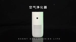 Anion Air Purifier Household Kitchen Toilet Deodorization And Sterilization Pm2.5 Purifier