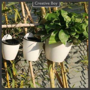 [Creative] Wall-Mounted Indoor Automatic Water-absorbing Flowerpot Plastic Flowerpot Succulent Green Dill Green Plant Flower Pot Decor