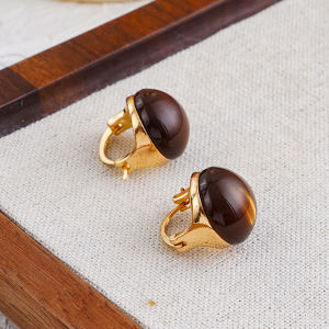 Fashionable Ring Gift 超好看独特漂亮耳环棕色珐琅耳钉耳扣 新款爆款高级感秋冬耳饰