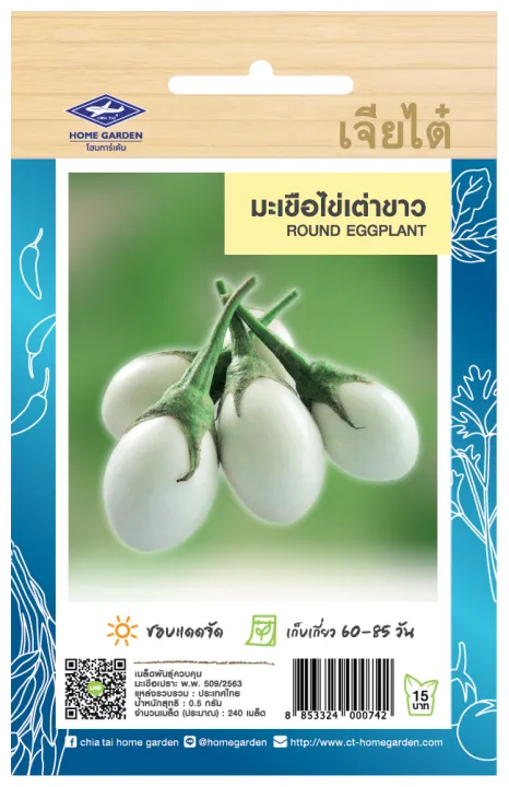 เมล็ดพันธุ์มะเขือไข่เต่าขาว เจียไต๋ CT/OP-169 ลูกเล็กกลม