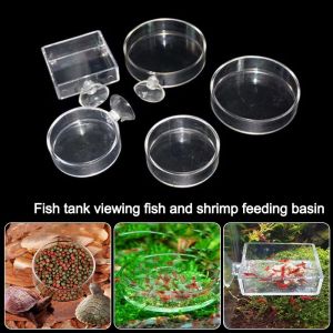 MUNCHX Transparent Aquarium Feeder with Suction Cup Acrylic Aerial Feeding Bowl Universal Fish Shrimp Feeding Dish for Fish and Shrimp Aquariums