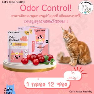 Cat’s Taste Healthy อาหารเปียกแมว 1 กล่อง (12 ซอง) - VTPetshop