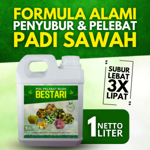 Pupuk Pelebat Buah Untuk Padi / Obat Semprot Pelebat Buah Padi / Obat Penyubur Padi sawah Pupuk ZPT