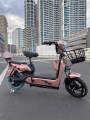 Toy Car Zone Electric Bike 48volts with Pedal. 
