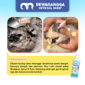 Dewarangga Shampo Anti Jamur & Kutu untuk Kucing dan Anjing. Shampo Kucing dan Shampo Anjing dengan Perlindungan Ganda untuk Cegah dan Atasi Jamur, Kutu, Meredakan Gatal, Iritasi Kulit.. 