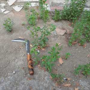 Arit Tosuran Bahan Besi Baja Per ASLI