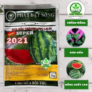 (Gói 20gr) Hạt Giống Dưa Hấu Thành Long Lai F1 SUPER 2021 PHÁT ĐẠT NÔNG