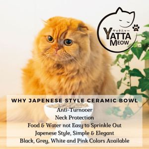 Mino-Yaki Mangkuk Kucing Japanese Style High Foot Ceramic Cat Bowl Anti-Turnover Pet Bowl Water Bowl 美浓烧风格猫碗