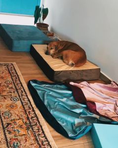 [SG Seller] Dog Bed with Orthopedic Memory Foam - Supports Joints