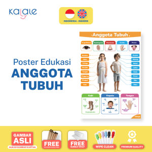 GOOROO by Kalale - Poster Edukasi Anak Huruf Alfabet Hijaiyah Angka Hewan Buah Sayur & Anggota Tubuh