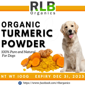 Set of 3 - 50 grams Turmeric Powder for Dogs - Luyang Dilaw Powder for Dogs 50 grams - Organic Pure and Natural Turmeric Powder for Dogs Equipped with Vitamins Minerals That Will Benefit your Dogs Pure Turmeric Powder for Dogs 50g Turmeric for Dogs