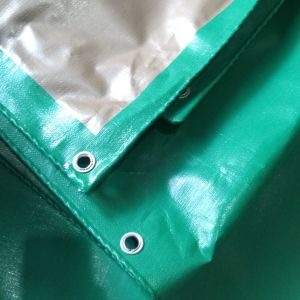 TERPAL UKURAN 2X6meter A20