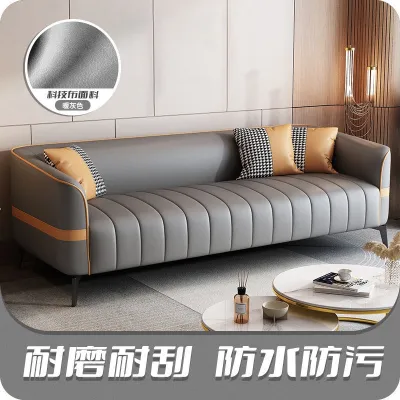 Simple and modern new type of washable technology fabric sofa small unit size double three person living room apartme