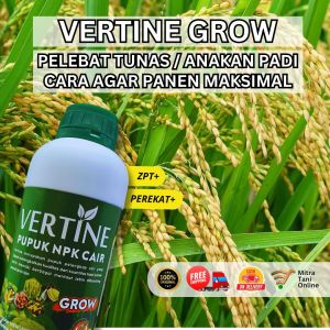 VERTINE GROW PADI Pupuk NPK Cair Untuk Meningkatkan Benih dan Kesuburan Tanaman